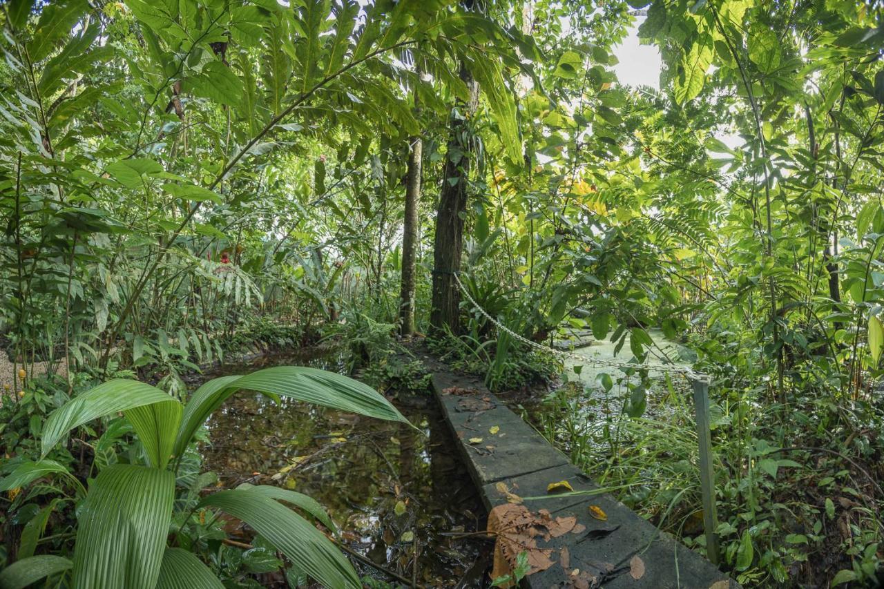 Cabanas Del Rio La Fortuna Exterior foto